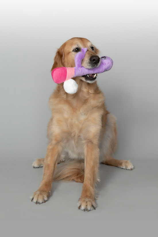 Naughty Mutt from Scruffy Dog playing with the plushie scruffy dog sex toy made for dogs.