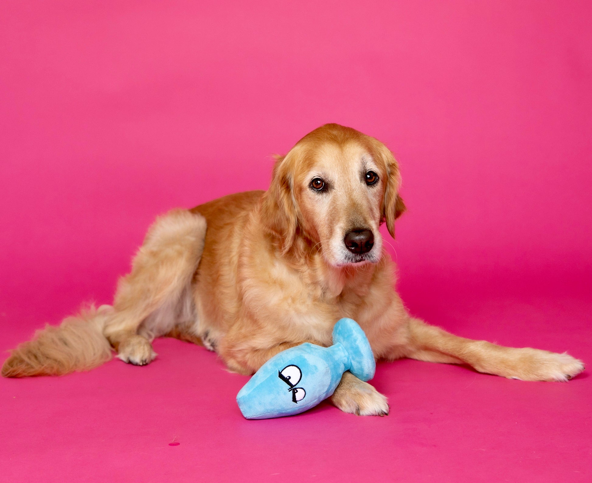 Scruffy Plushie Squeaky Dog Toy in the shape of a butt plug